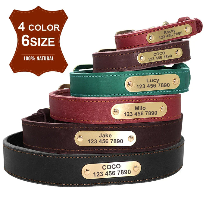 Personalized Leather Dog Collar